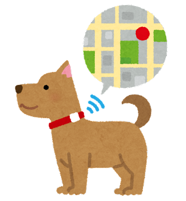 長途散步，足跡遍布全台灣，更內建 GPS 的超認路柴犬